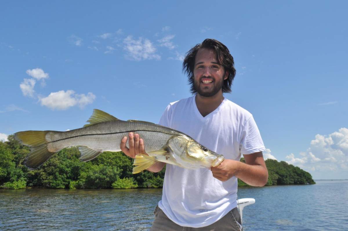 Tampa snook sight fished